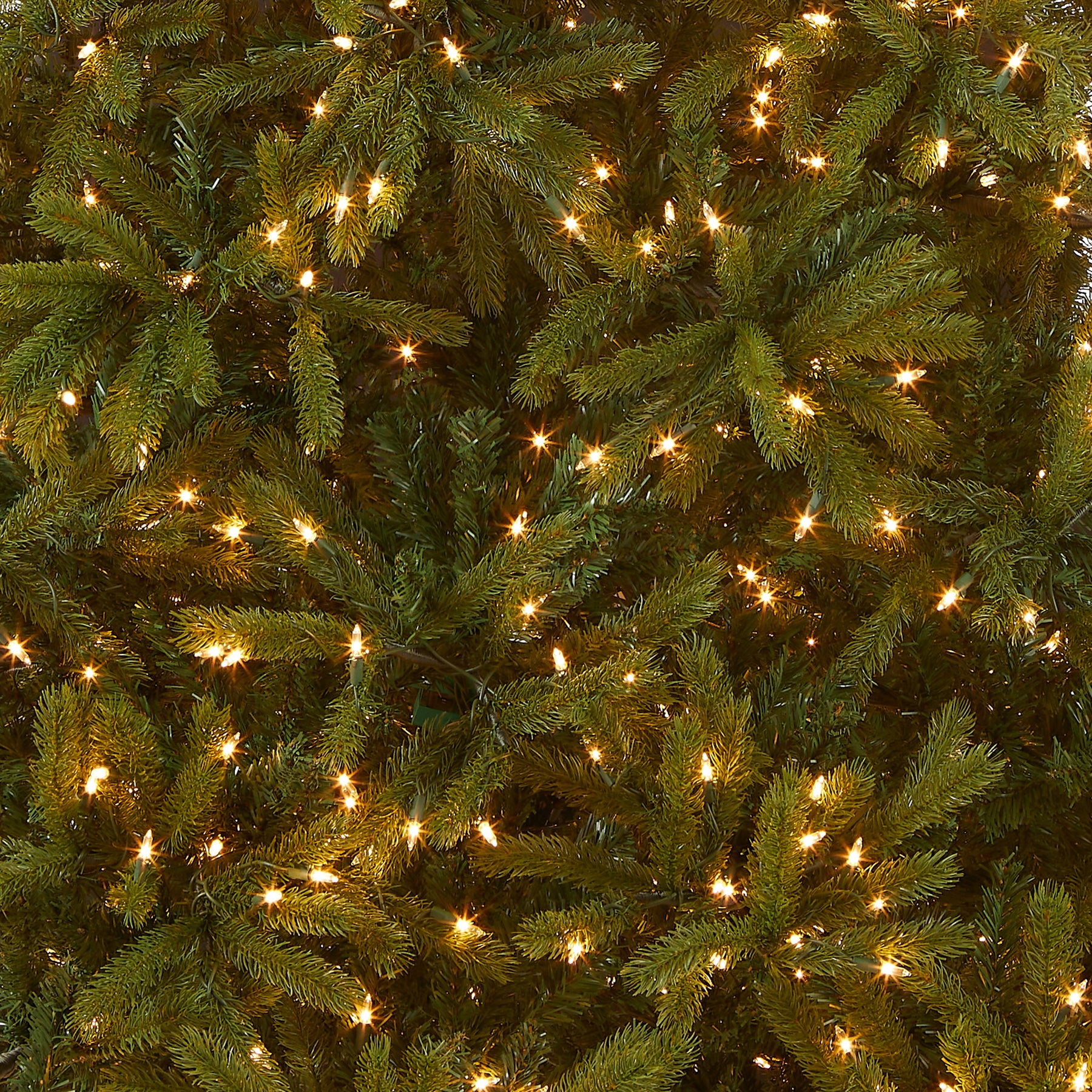 7.5 ft. Pre-Lit Jersey Fraser Fir Tree with Clear Lights – National ...