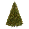 9 ft. Pre-Lit Jersey Fraser Fir Tree with Clear Lights - National Tree Company