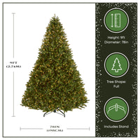 9 ft. Pre-Lit Jersey Fraser Fir Tree with Clear Lights - National Tree Company