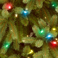 4.5 ft. Pre-Lit Jersey Fraser Fir Tree with Multicolor Lights - National Tree Company