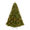 7.5 ft. Pre-Lit Jersey Fraser Fir Tree with Multicolor Lights - National Tree Company