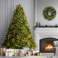 7.5 ft. Pre-Lit Jersey Fraser Fir Tree with Multicolor Lights - National Tree Company