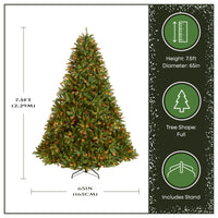 7.5 ft. Pre-Lit Jersey Fraser Fir Tree with Multicolor Lights - National Tree Company
