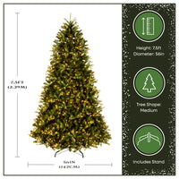 7.5 ft. Pre-Lit Jersey Fraser Fir Medium Tree with Clear Lights - National Tree Company