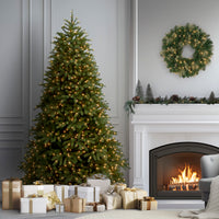 7.5 ft. Pre-Lit Jersey Fraser Fir Medium Tree with Clear Lights - National Tree Company