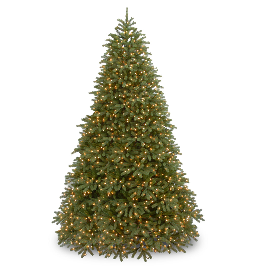 National Tree Company Pre-Lit Medium Artificial Christmas Tree, Green, Jersey Fraser Fir, 'Feel Real', White Lights, Includes Stand, 9 Feet