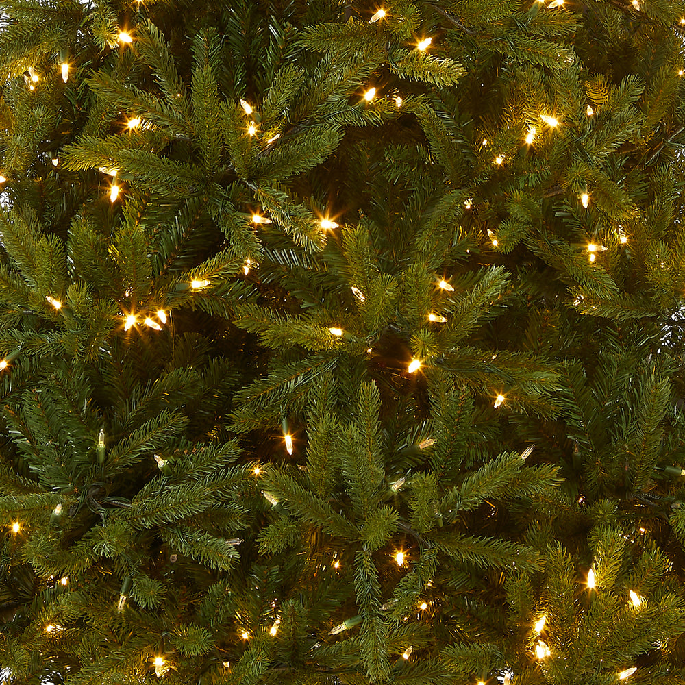 6.5 ft. Pre-Lit Jersey Fraser Fir Medium Tree with Dual Color LED Ligh ...