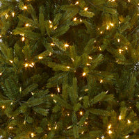 6.5 ft. Pre-Lit Jersey Fraser Fir Medium Tree with Dual Color LED Lights - National Tree Company