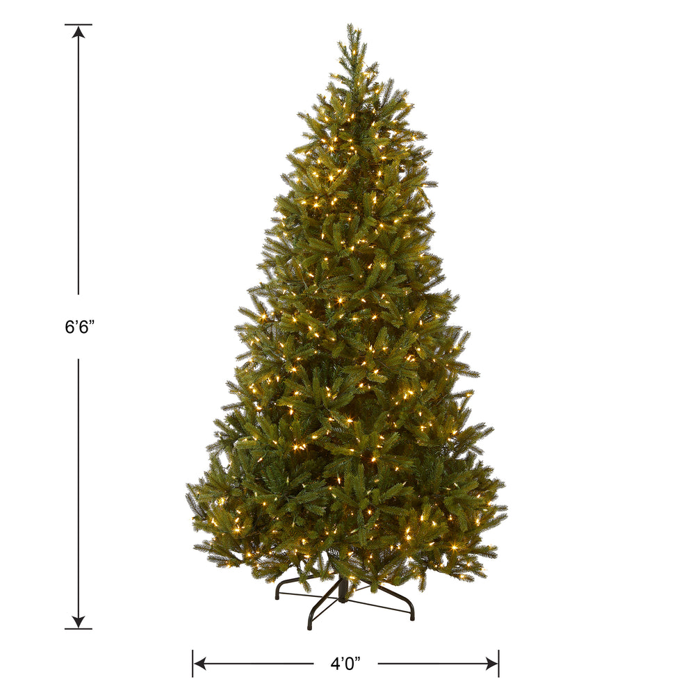6.5 ft. Pre-Lit Jersey Fraser Fir Medium Tree with Dual Color LED Ligh ...