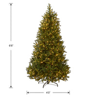 6.5 ft. Pre-Lit Jersey Fraser Fir Medium Tree with Dual Color LED Lights - National Tree Company