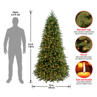 6.5 ft. Pre-Lit Jersey Fraser Fir Slim Tree with Clear Lights, Plug-In - National Tree Company