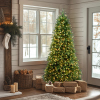 7.5 ft. Pre-Lit Jersey Fraser Fir Slim Tree with Clear Lights, Plug-In - National Tree Company