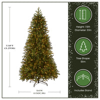 7.5 ft. Pre-Lit Jersey Fraser Fir Slim Tree with Clear Lights, Plug-In - National Tree Company