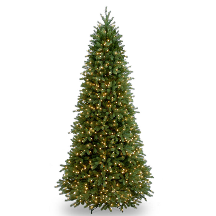 Pre-Lit Slim Artificial Christmas Tree, Green, Jersey Fraser Fir, 'Feel Real', White Lights, Includes Stand, 9 Feet