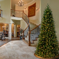 9 ft. Pre-Lit Jersey Fraser Fir Slim Hinged Tree with Clear Lights - National Tree Company