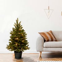 4 ft. Pre-Lit Jersey Fraser Fir Tree with Warm White LED Lights - National Tree Company