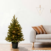 3 ft. Pre-Lit Jersey Fraser Fir Small Tree in Growers Pot with Warm White LED Lights - National Tree Company