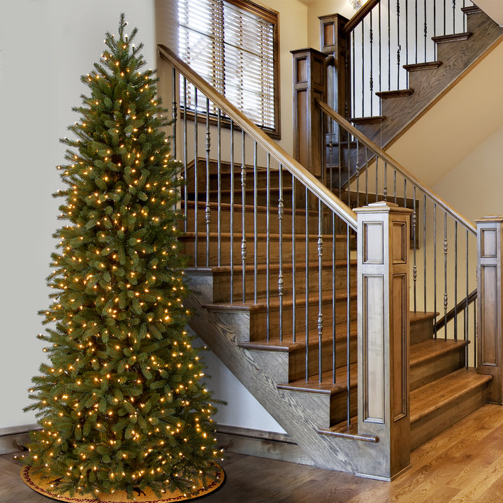 12 ft. Jersey Fraser Fir Pencil Slim Tree with Clear Lights