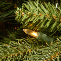 6.5 ft. Pre-Lit Jersey Fraser Fir Pencil Slim Tree with Clear Lights - National Tree Company