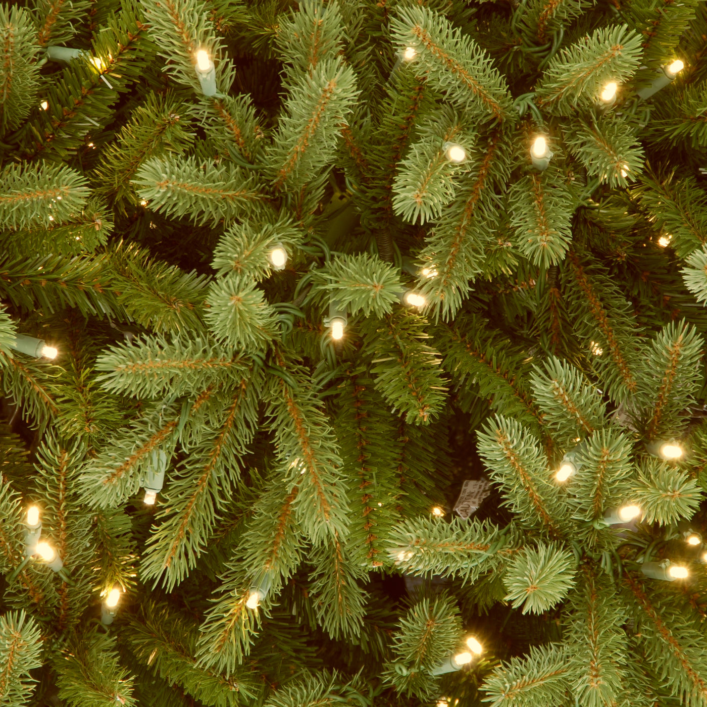 7.5 ft. Pre-Lit Jersey Fraser Fir Medium Tree with PowerConnect Dual Color LED Lights - National Tree Company