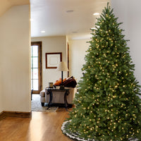 7.5 ft. Jersey Fraser Fir Deluxe Tree with Dual Color LED Lights - National Tree Company