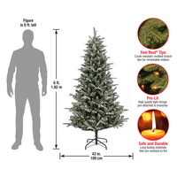 6 ft. Pre-Lit Snowy Libby Fir Tree with LED Lights - National Tree Company