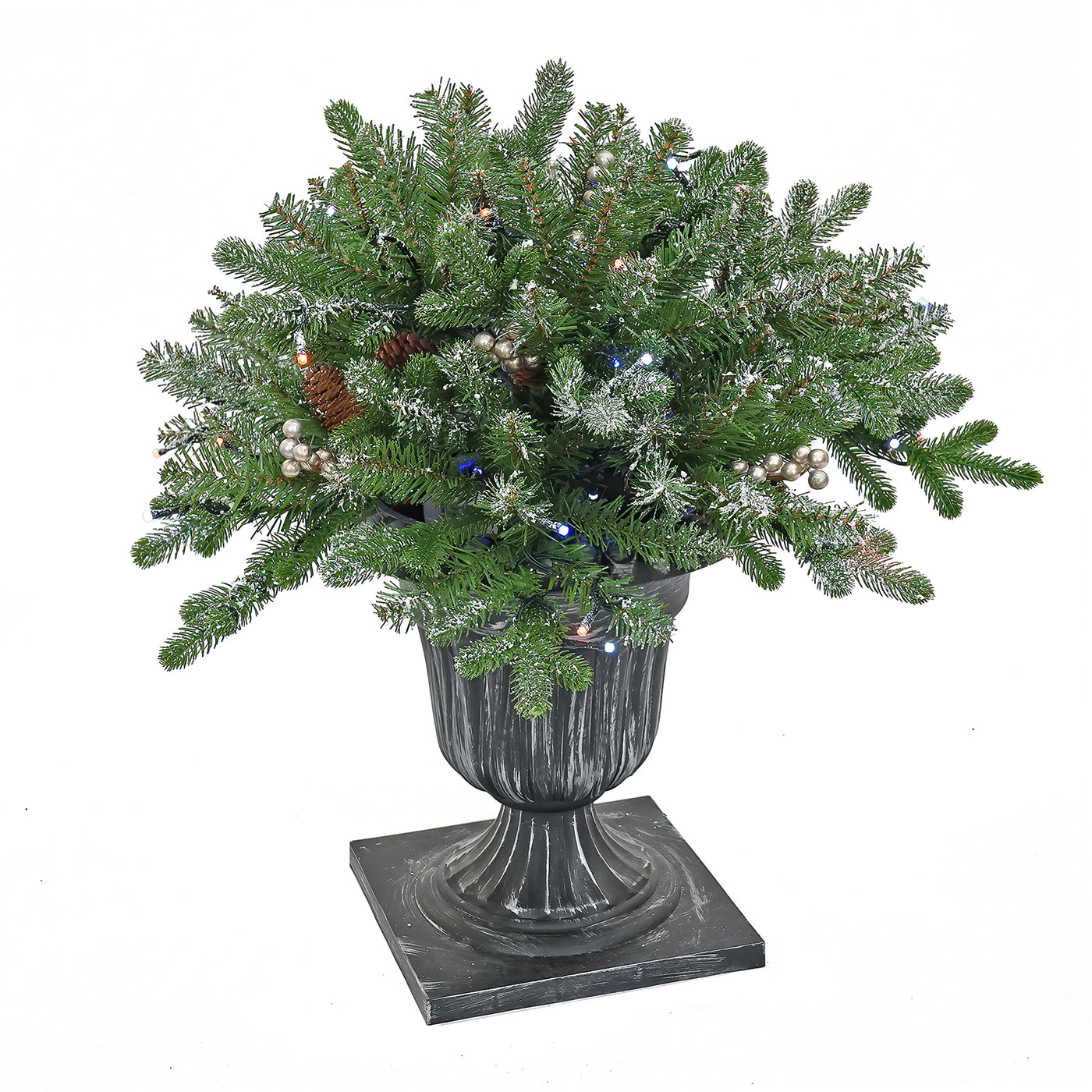 24 in. Pre-Lit Snowy Morgan Spruce Porch Bush with Twinkly LED Lights - National Tree Company