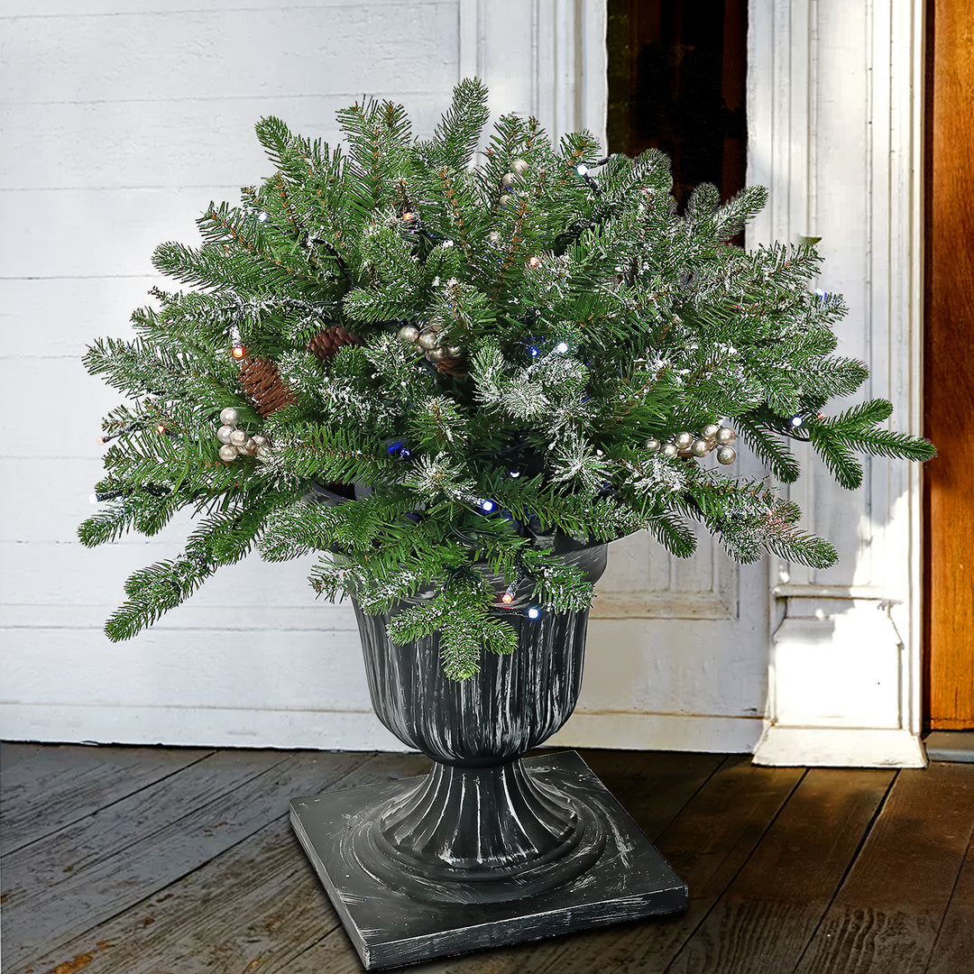 24" Snowy Morgan Spruce Porch Bush with Twinkly™ LED Lights