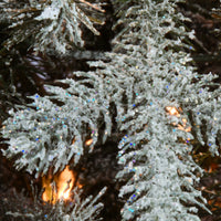 6.5 ft. Pre-Lit Snowy Morgan Spruce Slim Tree with Clear Lights - National Tree Company