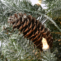 6.5 ft. Pre-Lit Snowy Morgan Spruce Slim Tree with Clear Lights - National Tree Company