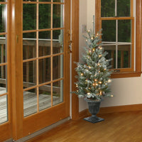 4 ft. Pre-Lit  Snowy Morgan Spruce Tree with Clear Lights - National Tree Company