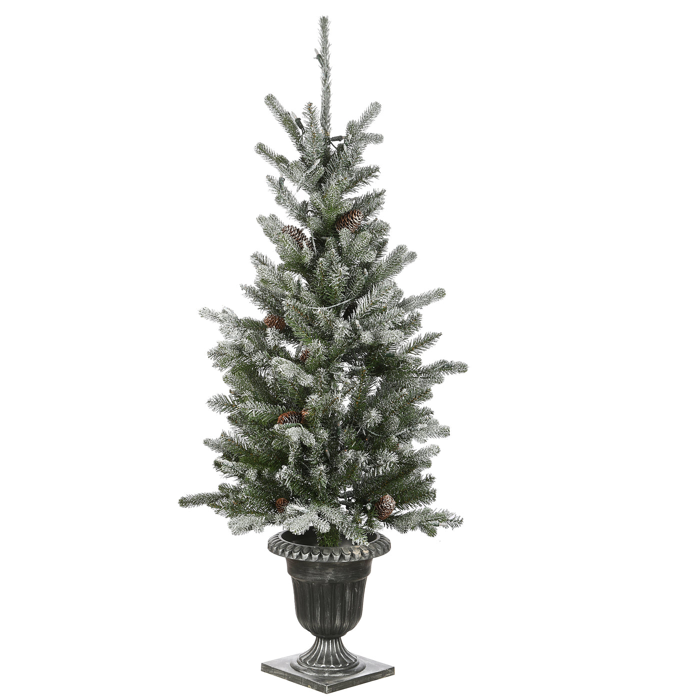 4 ft. Pre-Lit  Snowy Morgan Spruce Tree with Clear Lights - National Tree Company