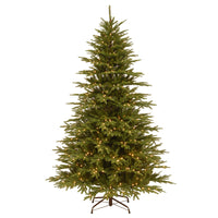7.5 ft. Pre-Lit Monterrey Fir Tree with Clear Lights - National Tree Company