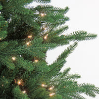 7.5 ft. Pre-Lit Merryweather Fir Feel Real Tree with Clear Lights, Plug-In - National Tree Company