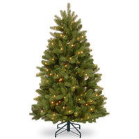 5 ft. Pre-Lit Newberry Spruce Tree with Clear Lights - National Tree Company