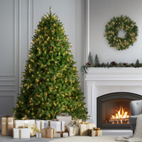 7.5 ft. Pre-Lit Newberry Spruce Tree with Clear Lights - National Tree Company