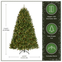 7.5 ft. Pre-Lit Newberry Spruce Tree with Clear Lights - National Tree Company