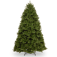 7.5 ft. Newberry Spruce Tree - National Tree Company