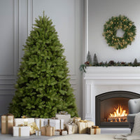 7.5 ft. Newberry Spruce Tree - National Tree Company