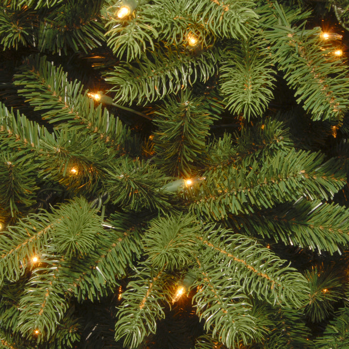 6.5 ft. PowerConnect(TM) Newberry® Spruce with Dual Color® LED Lights