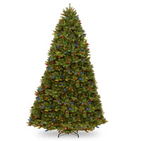 9 ft. Pre-Lit Newberry Spruce Tree with PowerConnect Dual Color LED Lights - National Tree Company