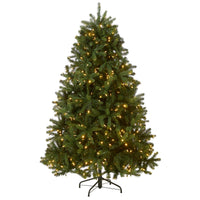 8 ft. Pre-Lit Newberry Spruce Tree with PowerConnect Dual Color LED Lights - National Tree Company