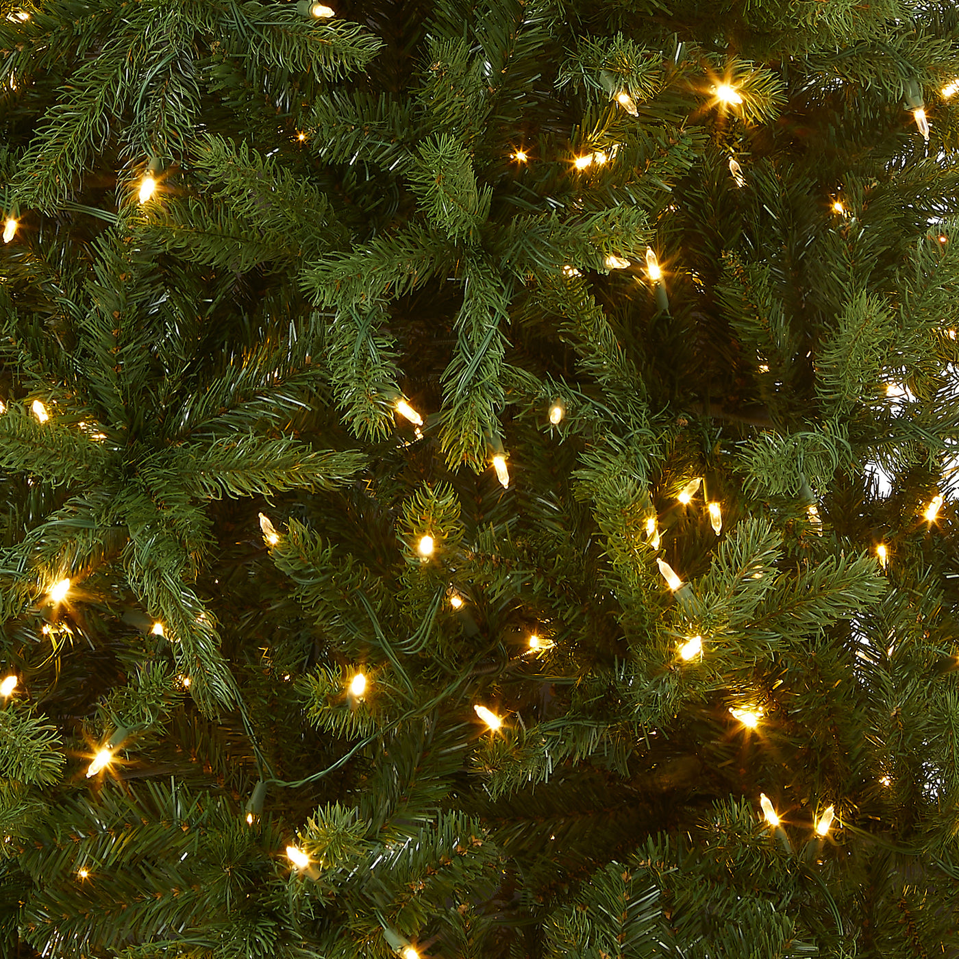 8 ft. Pre-Lit Newberry Spruce Tree with PowerConnect Dual Color LED Lights - National Tree Company