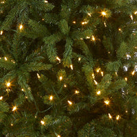 8 ft. Pre-Lit Newberry Spruce Tree with PowerConnect Dual Color LED Lights - National Tree Company