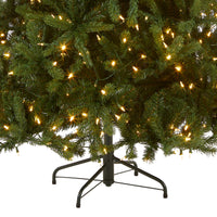 8 ft. Pre-Lit Newberry Spruce Tree with PowerConnect Dual Color LED Lights - National Tree Company