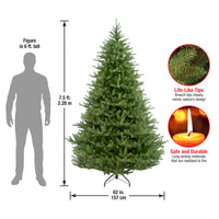 7.5 ft. Norway Fir Tree - National Tree Company