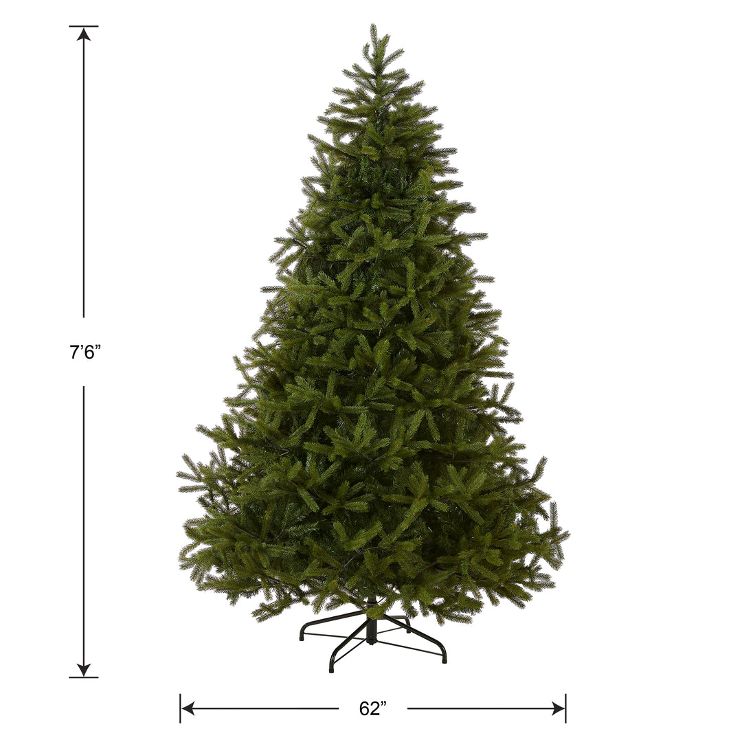 Triumph Tree, Christmas Tree, Forest frosted, 75 cm