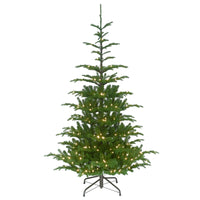 7.5 ft. Norwegian Spruce Tree with Clear Lights - National Tree Company