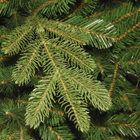 7.5 ft. Norwegian Spruce Tree with Clear Lights - National Tree Company