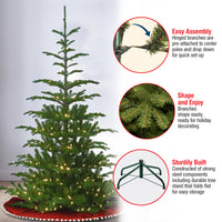 7.5 ft. Norwegian Spruce Tree with Clear Lights - National Tree Company